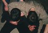 silv_2000_84.jpg